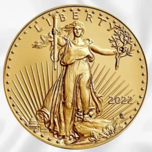 1oz American Eagle Gold Coin